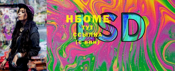 индика Алексин