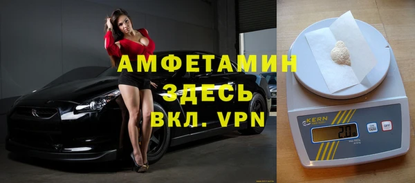 индика Алексин