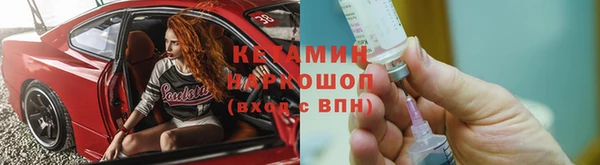 индика Алексин