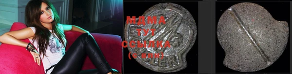 индика Алексин