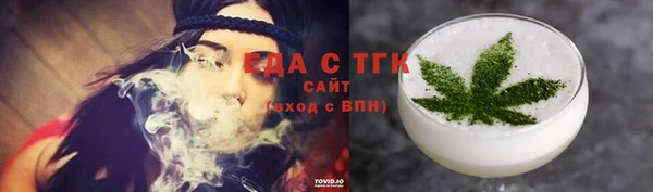 индика Алексин
