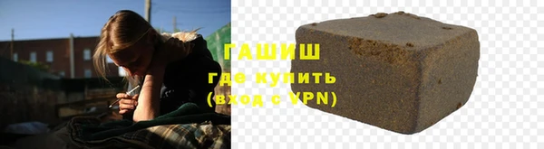 индика Алексин