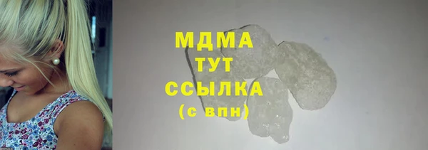 индика Алексин