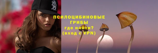 a pvp Алексеевка