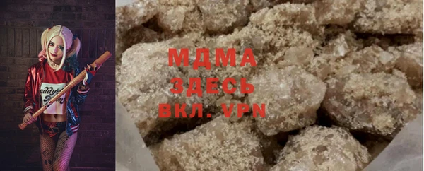 индика Алексин